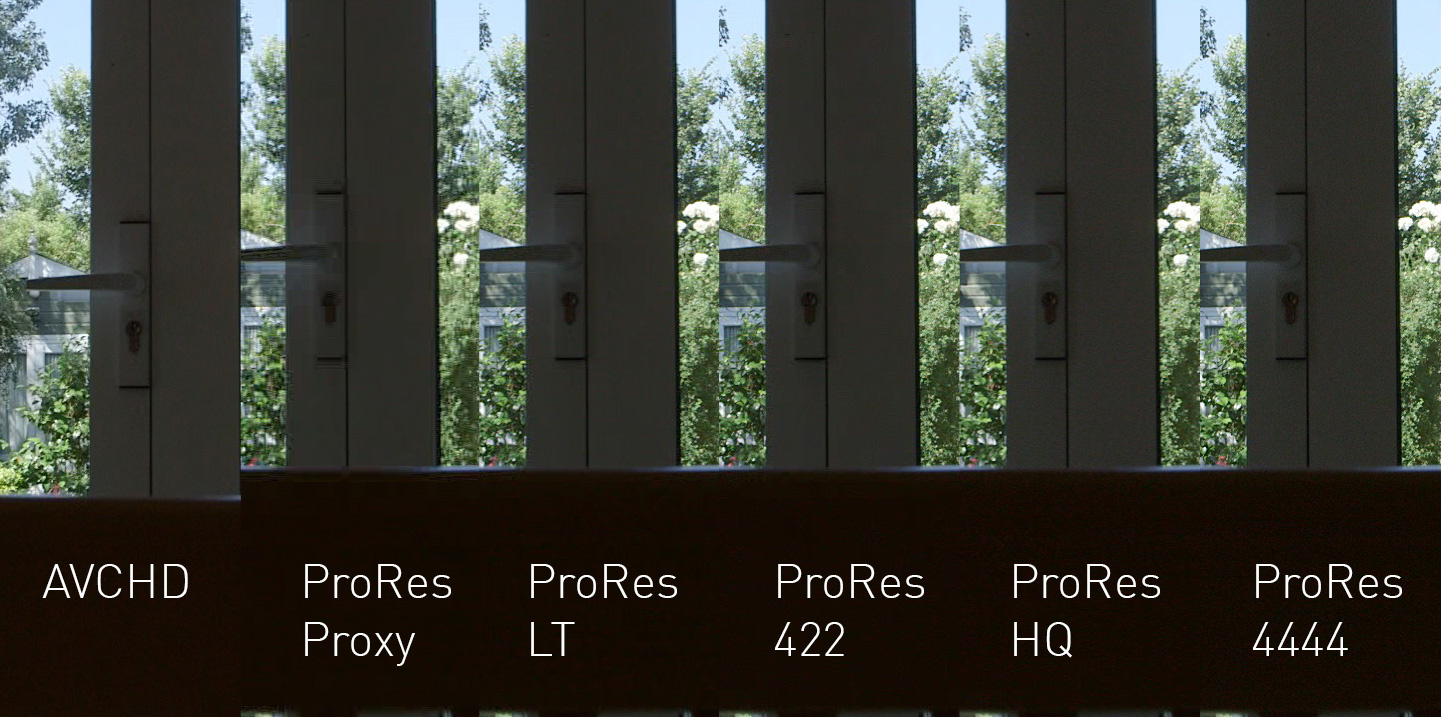 noiseandprores-crop.jpg
